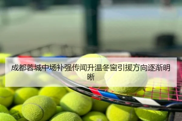 成都蓉城中场补强传闻升温冬窗引援方向逐渐明晰